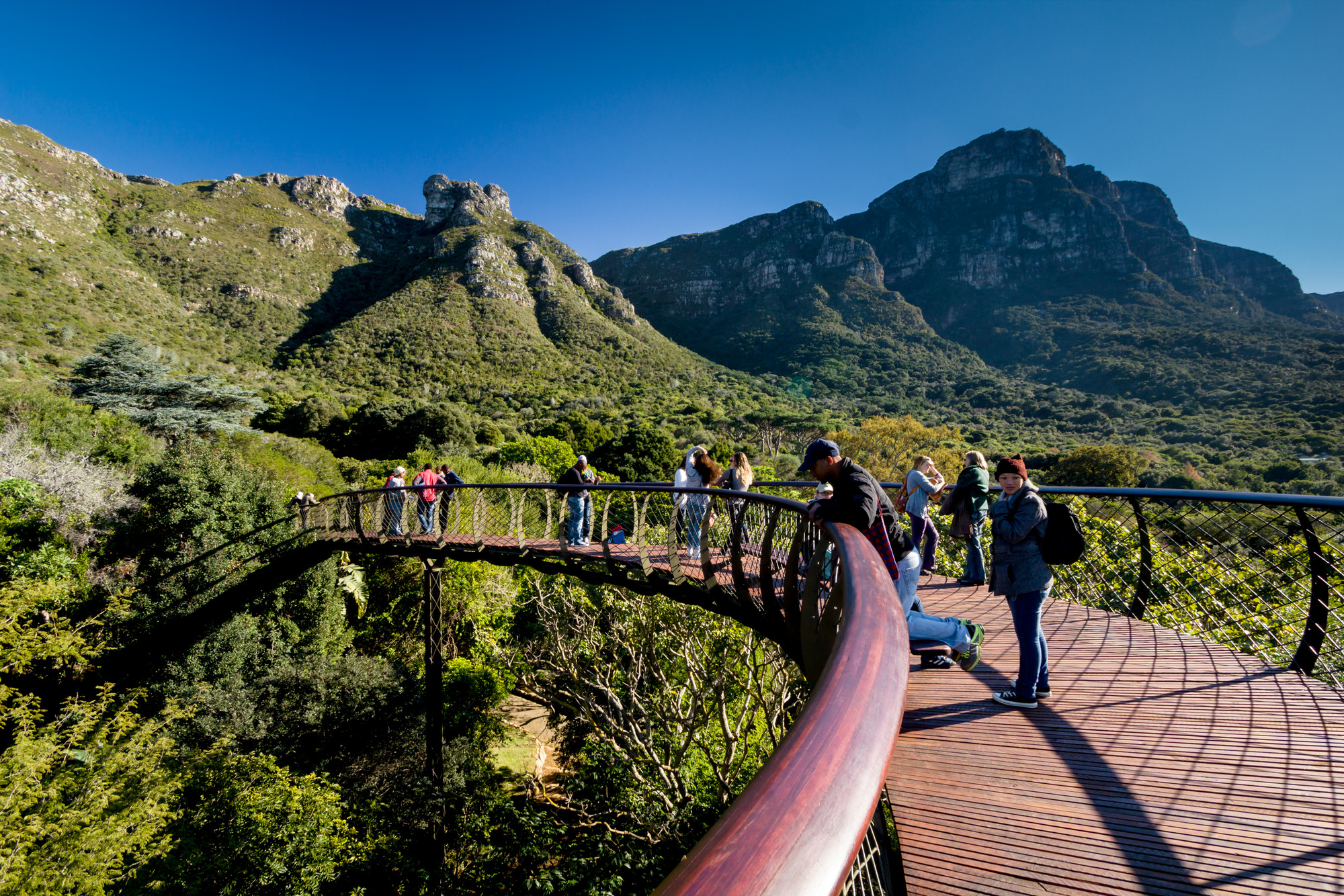 Ботанический сад Кирстенбош Кейптаун мост